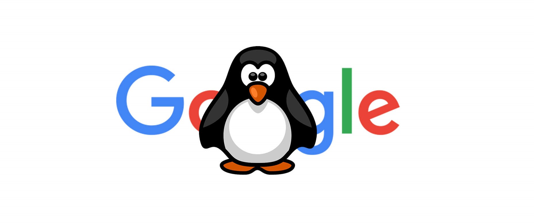 الگوریتم پنگوئن چیست و چطور وب سایت را جریمه می کند؟