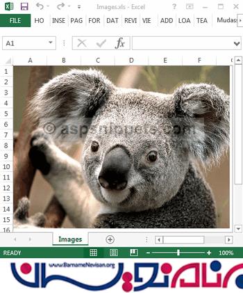 خروجی تصویر به فایل Excel توسط #C در ASP.Net