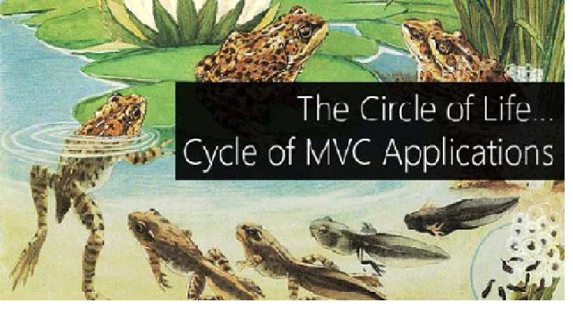 چرخه حیات Applicationهای،MVC