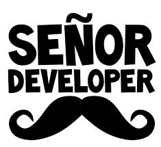 ‫Senior Developer به چه کسی گفته می شود؟